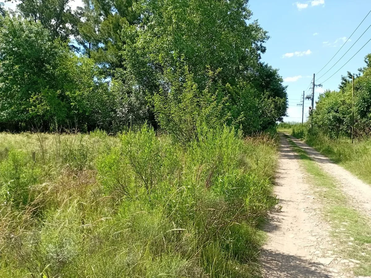 VENTA LOTE 5.000M2 EN GRAL. RODRIGUEZ RUTA 24 foto 5