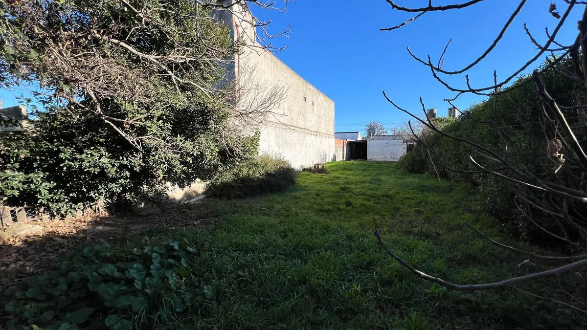 VENTA CASA DE 3 AMB CON LOTE DE 500 M2 EN NECOCHEA foto 3