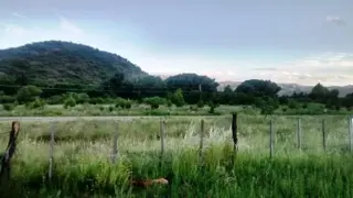 Venta Campo – Ruta Ingreso – San Francisco del Monte de Oro – San Luis foto 2