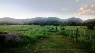 Venta Campo – Ruta Ingreso – San Francisco del Monte de Oro – San Luis foto 3