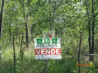 Lote en Los Reartes, Cordoba. foto 4