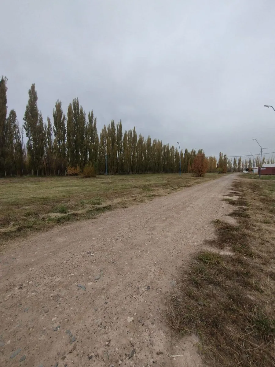 LOTE EN VENTA GENERAL ROCA (LOS ÁLAMOS BLANCO) foto 2