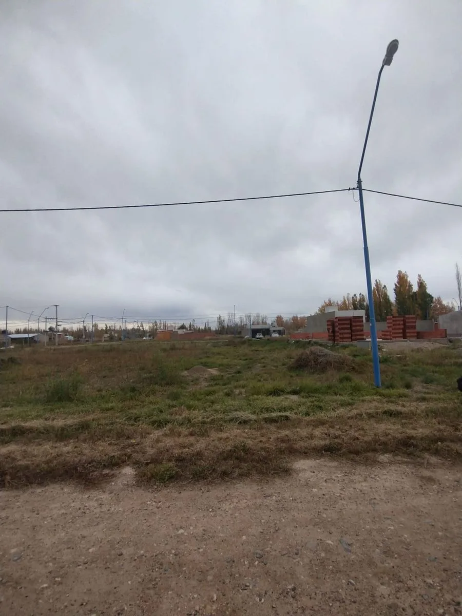 LOTE EN VENTA GENERAL ROCA (LOS ÁLAMOS BLANCO) foto 3