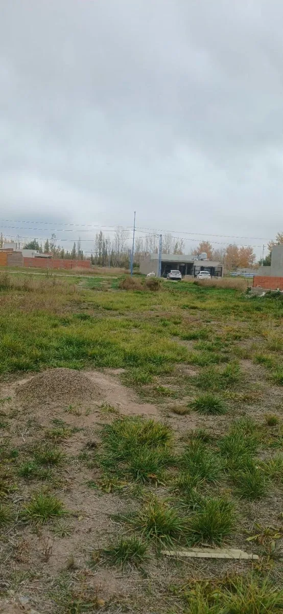 LOTE EN VENTA GENERAL ROCA (LOS ÁLAMOS BLANCO) foto 4