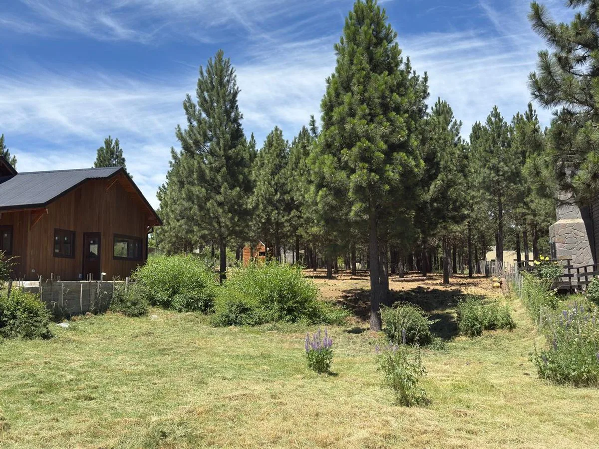 Lote en Trevelin 975 mts2 -15,6 m x 62,5 m foto 2