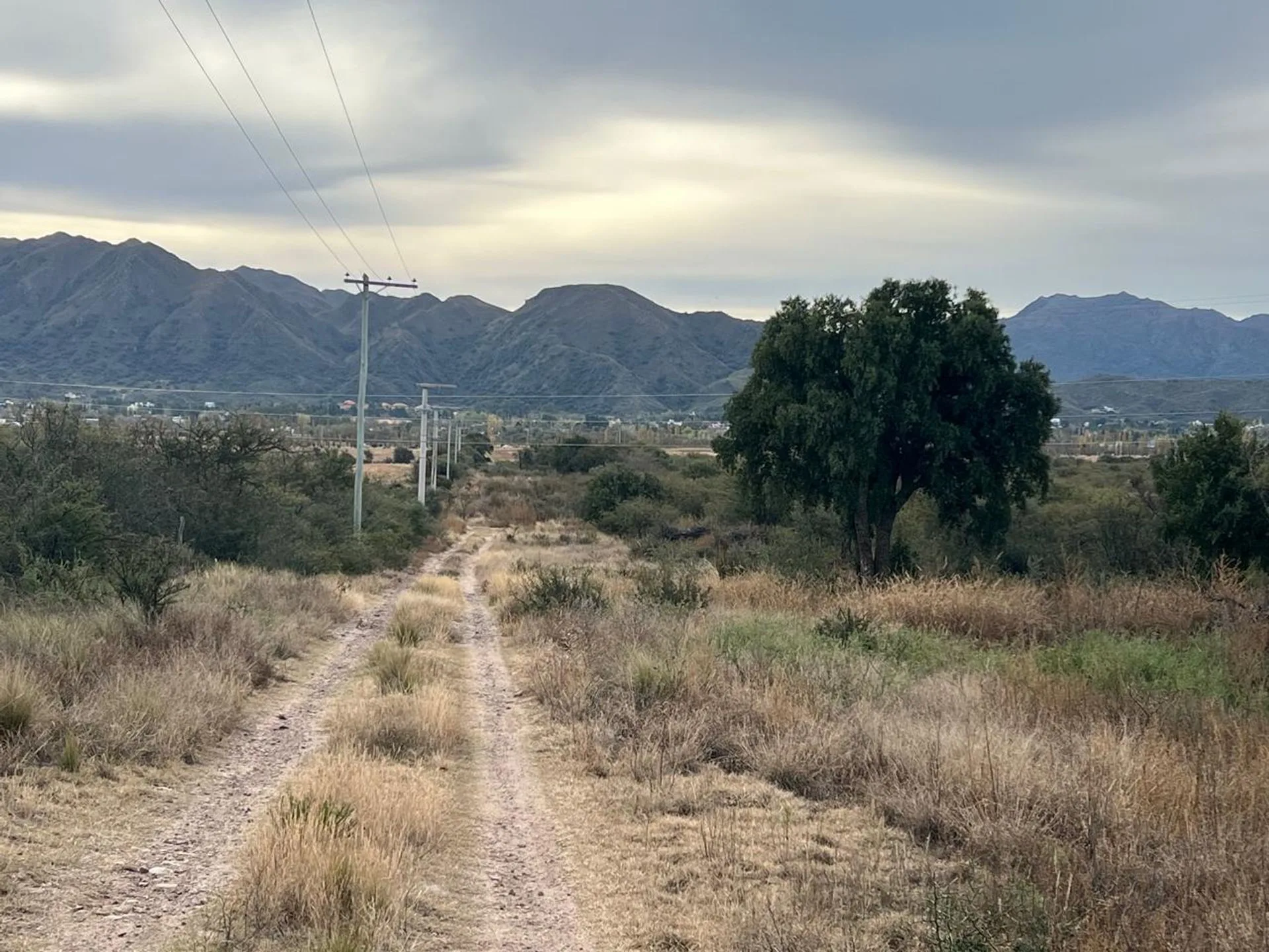SE VENDE 1 HECTAREA DE CAMPO foto 2