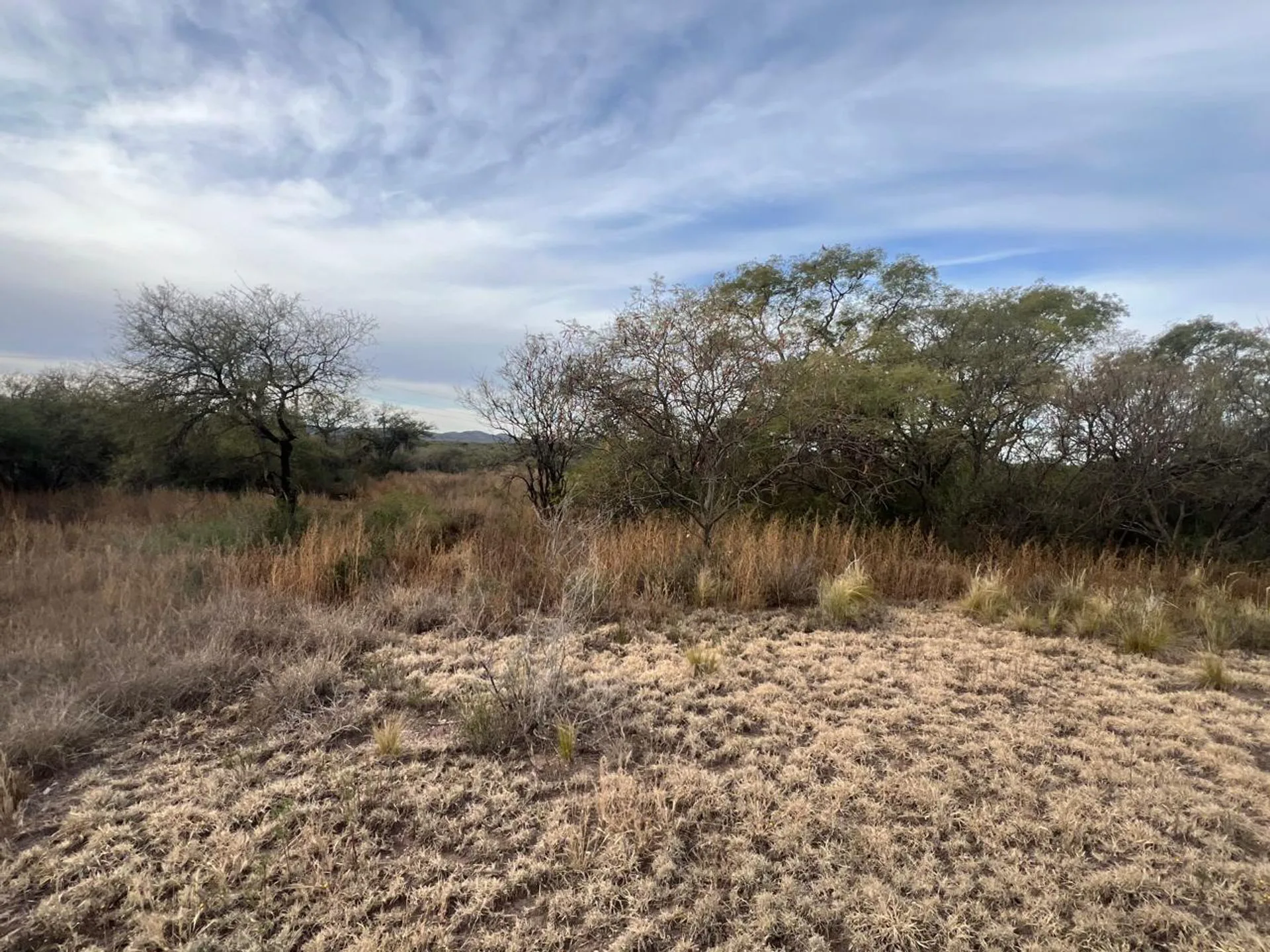 SE VENDE 1 HECTAREA DE CAMPO foto 4
