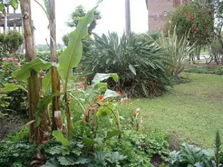 Casa en Venta en Villa de Mayo,sobre avenida. Ideal emprendimiento. 900 mts de lote foto 3
