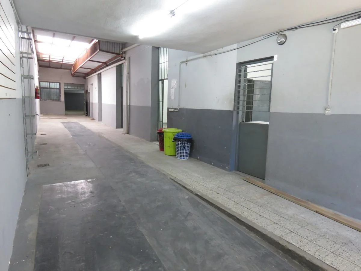 ALQUILER COMERCIAL GALPON - DEPOSITO EN BOEDO foto 2