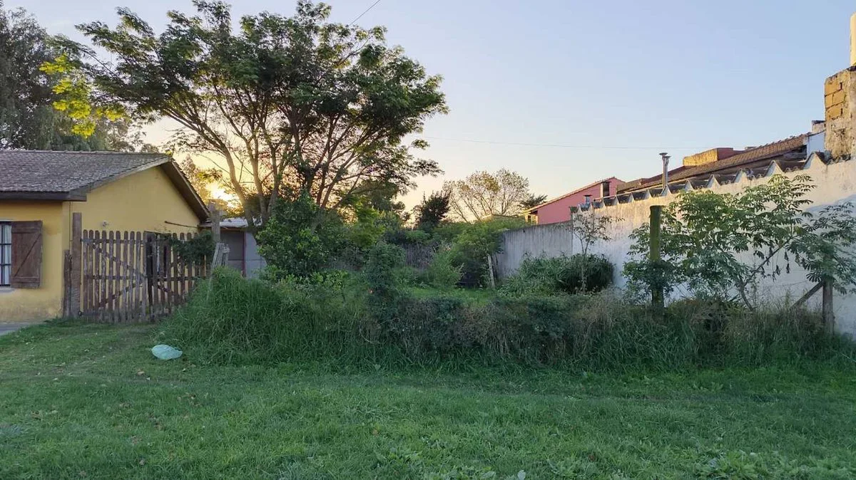 VENTA TERRENO 230M2 LOS TILOS foto 2