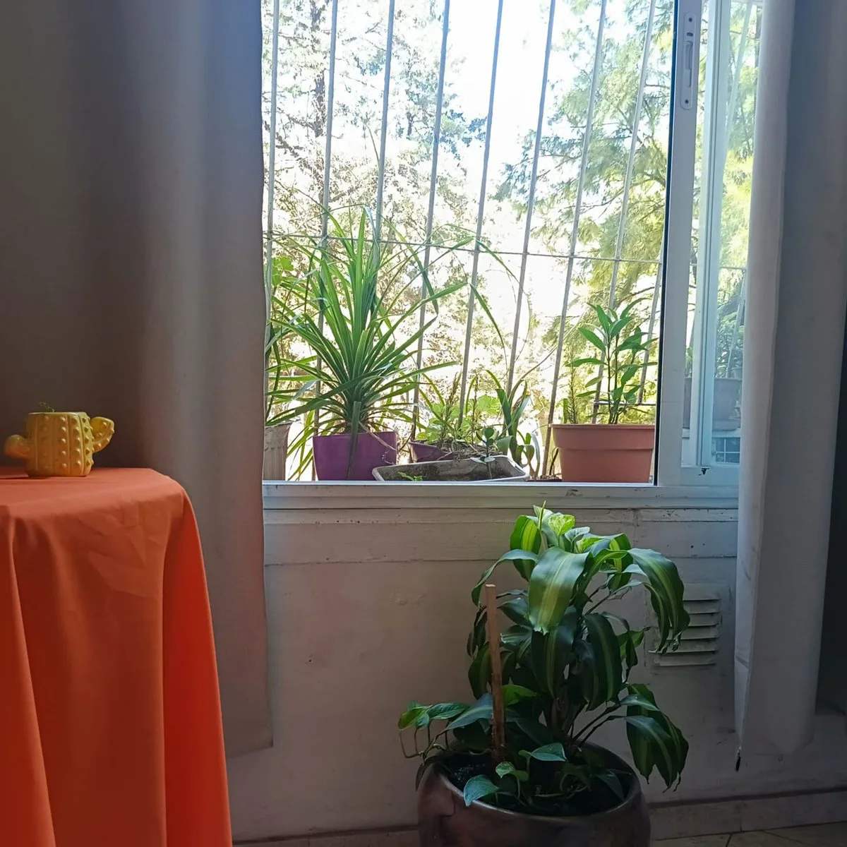 VENTA DEPTO 3 AMB EXCELENTE UBICACION VILLA LUGANO foto 4