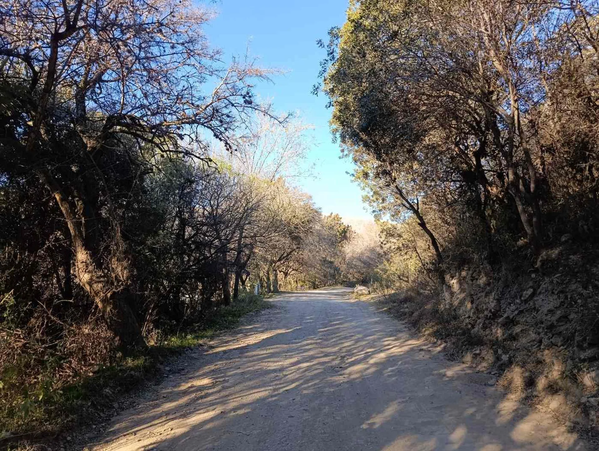 Hermoso terreno en venta en reserva Calaguala foto 3