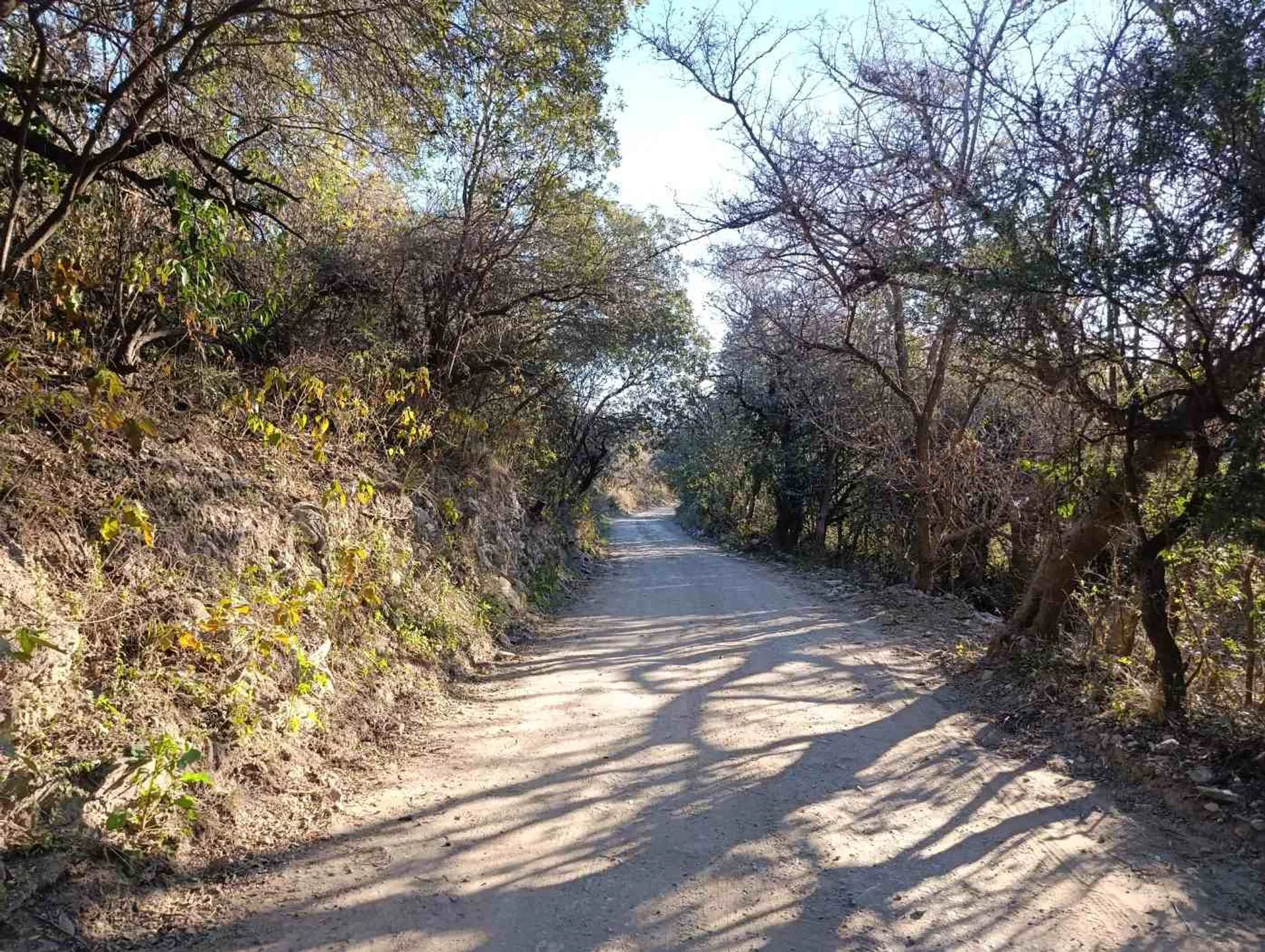 Hermoso terreno en venta en reserva Calaguala foto 4