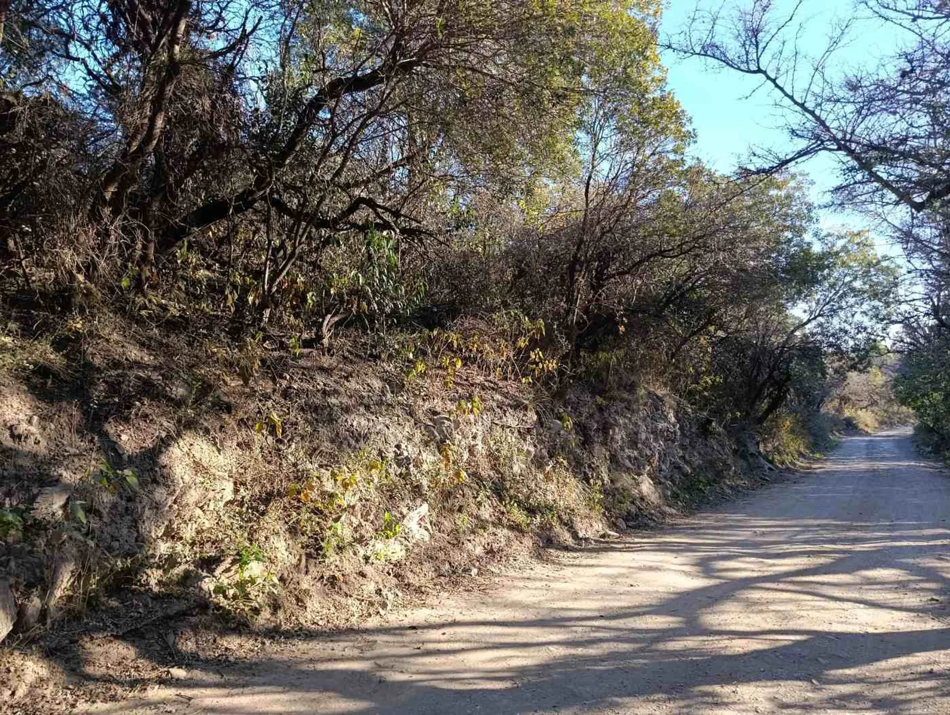 Hermoso terreno en venta en reserva Calaguala foto 5