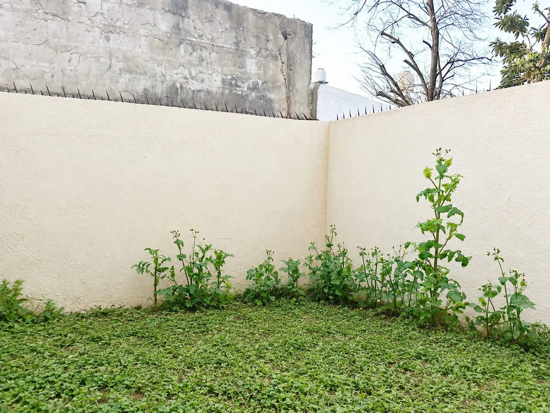 VENTA PH 3 AMBIENTES CON JARDIN foto 2