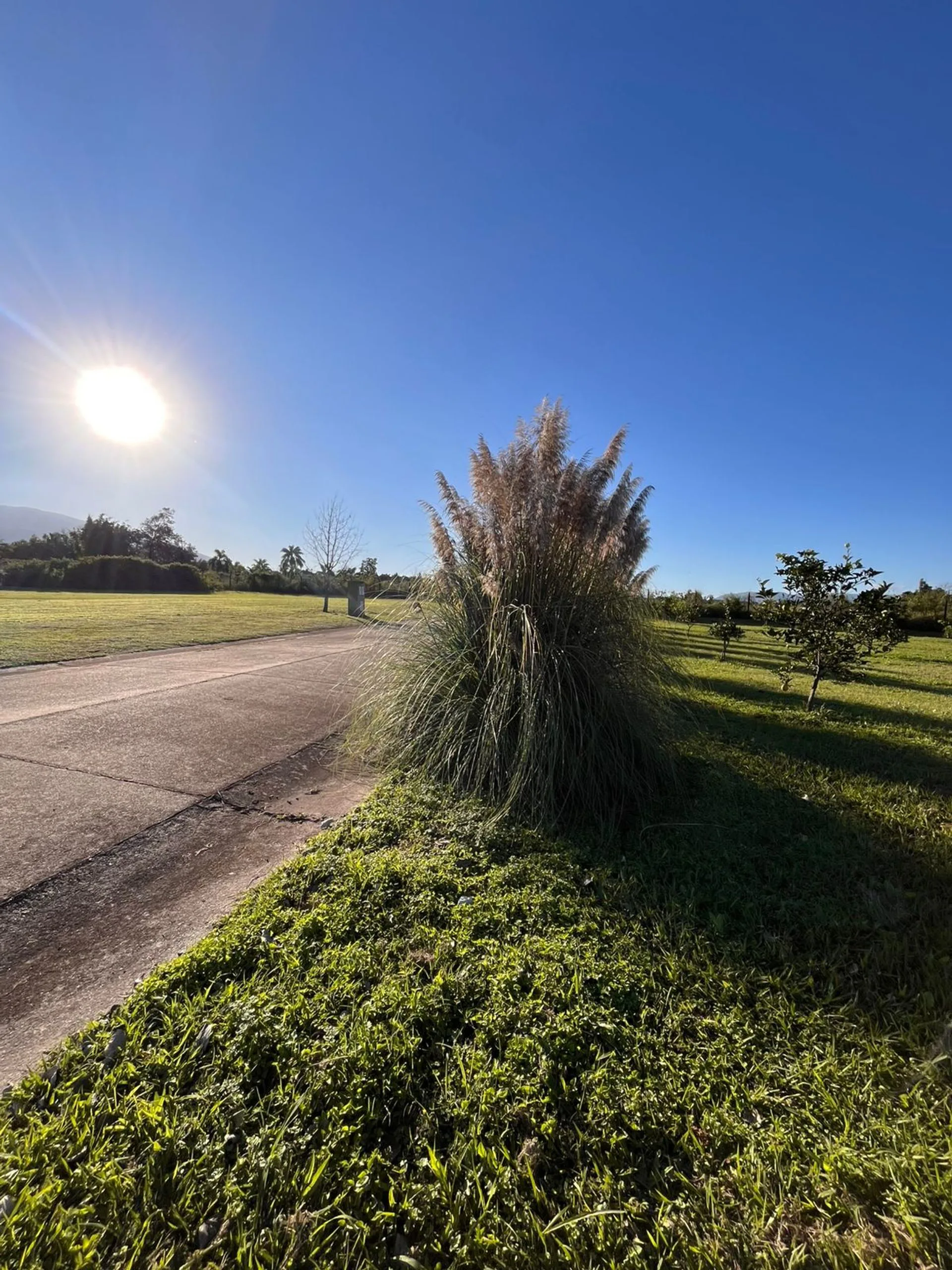 Venta lote exclusivo en La Cité, Tafi Viejo. foto 4