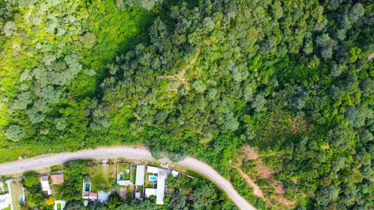 VENTA TERRENO DE 27 Ha - DIQUE LOS ALISOS foto 5