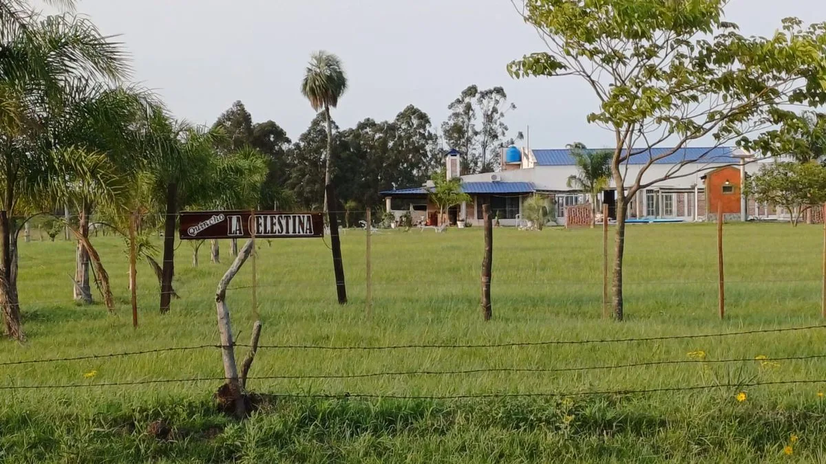 TERRENO EN VENTA DE 1399 M² EN COLONIA CAROLINA