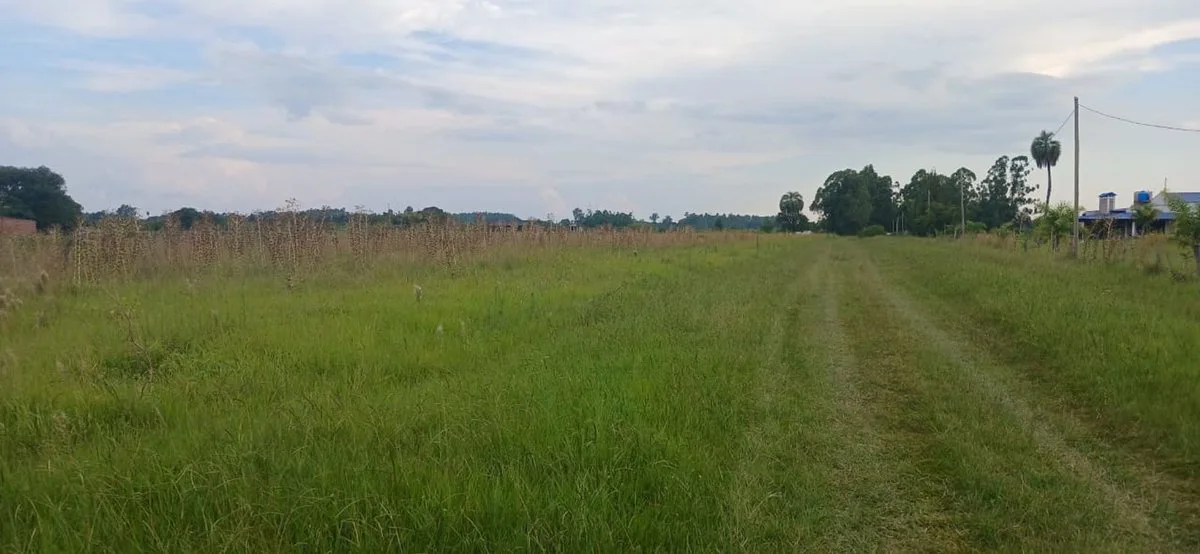 TERRENO EN VENTA DE 1399 M² EN COLONIA CAROLINA foto 2