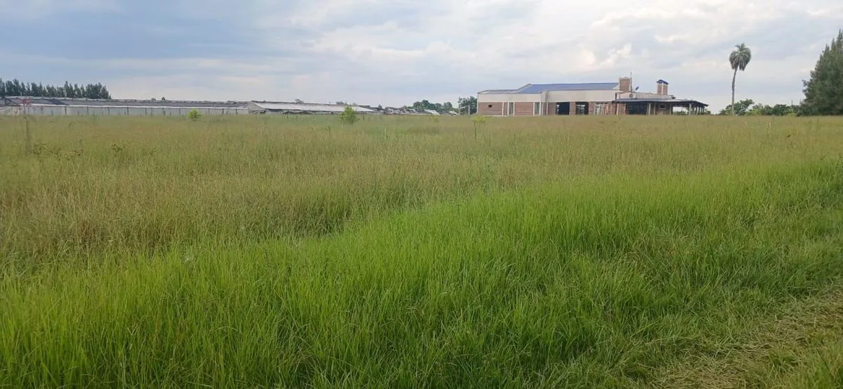 TERRENO EN VENTA DE 1399 M² EN COLONIA CAROLINA foto 3