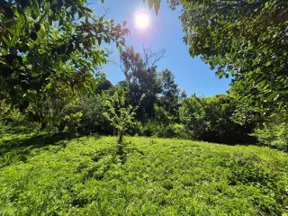 Lote excelente ubicacion en costa Sarandi 10000m2 foto 1