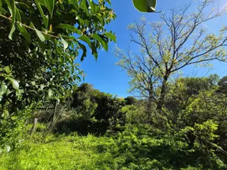 Lote excelente ubicacion en costa Sarandi 10000m2 foto 3