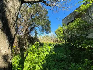 Lote excelente ubicacion en costa Sarandi 10000m2 foto 4