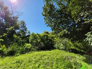 Lote excelente ubicacion en costa Sarandi 10000m2 foto 5
