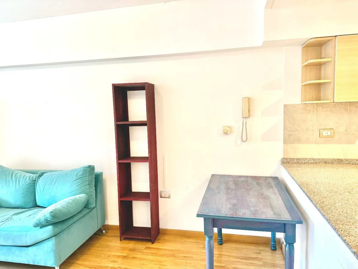 Departamento Monoambiente Palermo Balcon Inversion foto 4