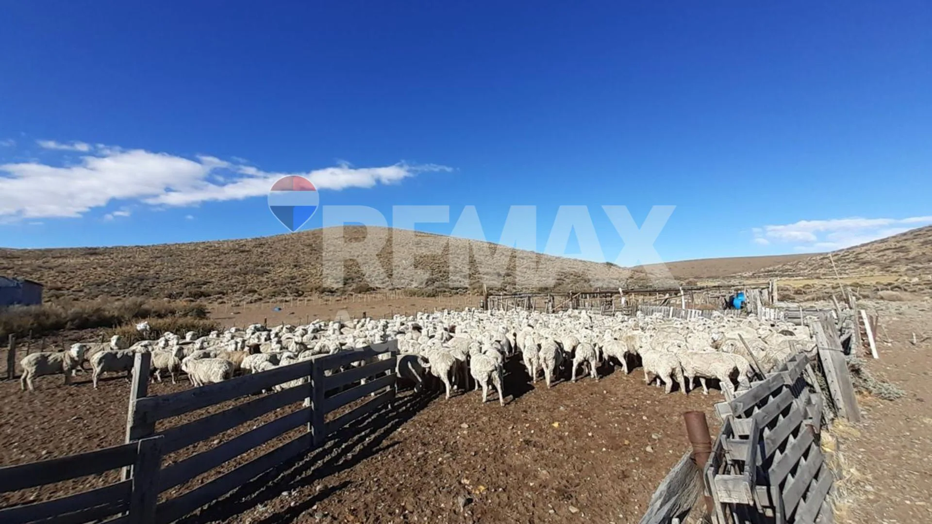 Campo EL FOGON Las Heras Santa Cruz