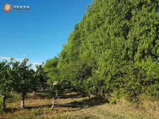 EXCLUSIVOS LOTES  EN BARRIO PRIVADO, TRELEW foto 2