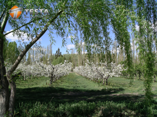 EXCLUSIVOS LOTES  EN BARRIO PRIVADO, TRELEW foto 3