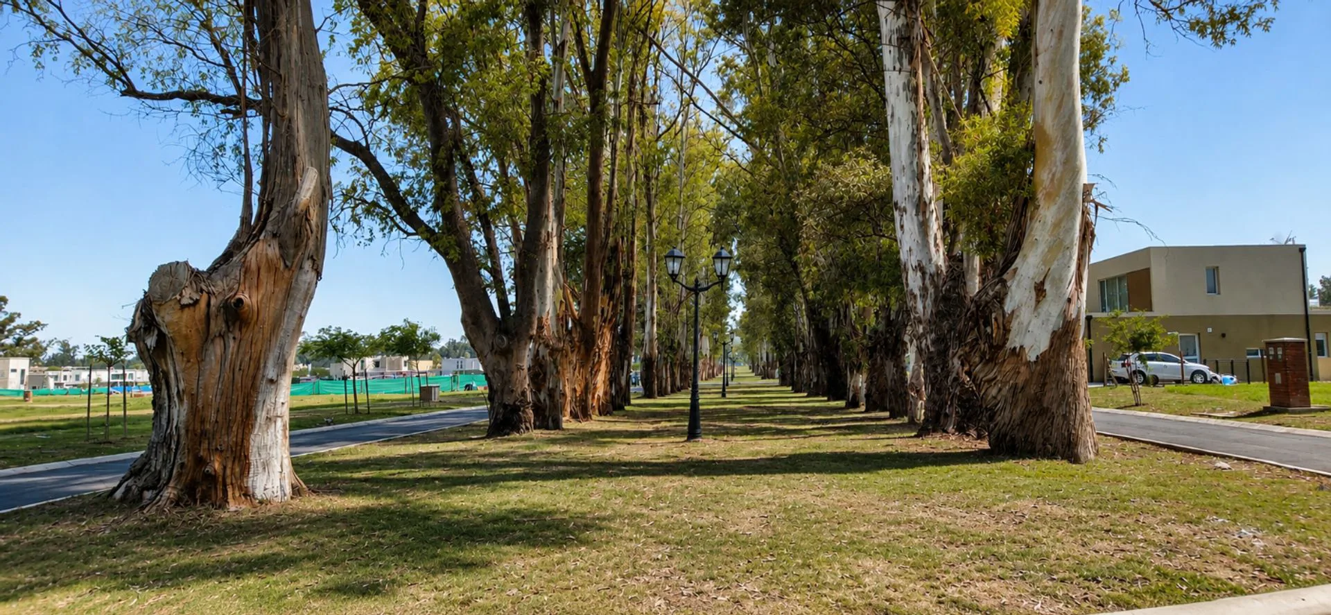 Lote en venta en Barrio Santa Sofia-Pilar del Este foto 3