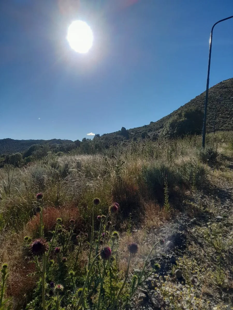 Terreno en Esquel foto 5