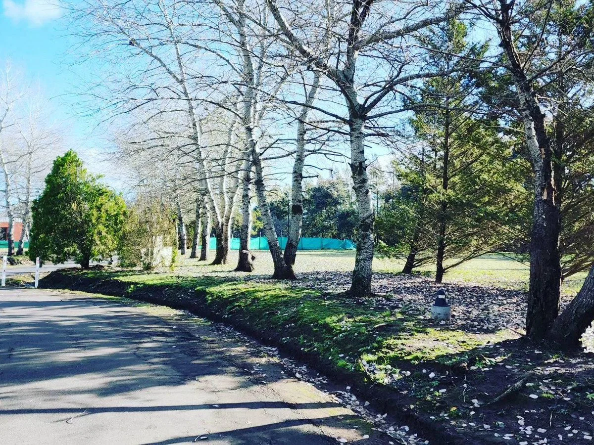 Lotes En Barrio Cerrado, Lomas De San Antonio, Luján En Venta foto 4