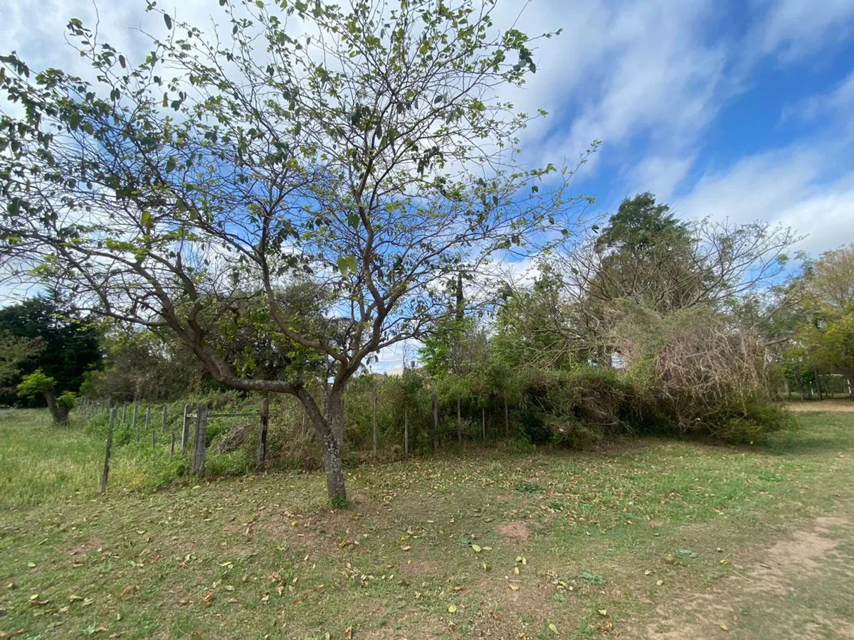 Lote en Santa Rosa de Calchines a 100m del Rio foto 3