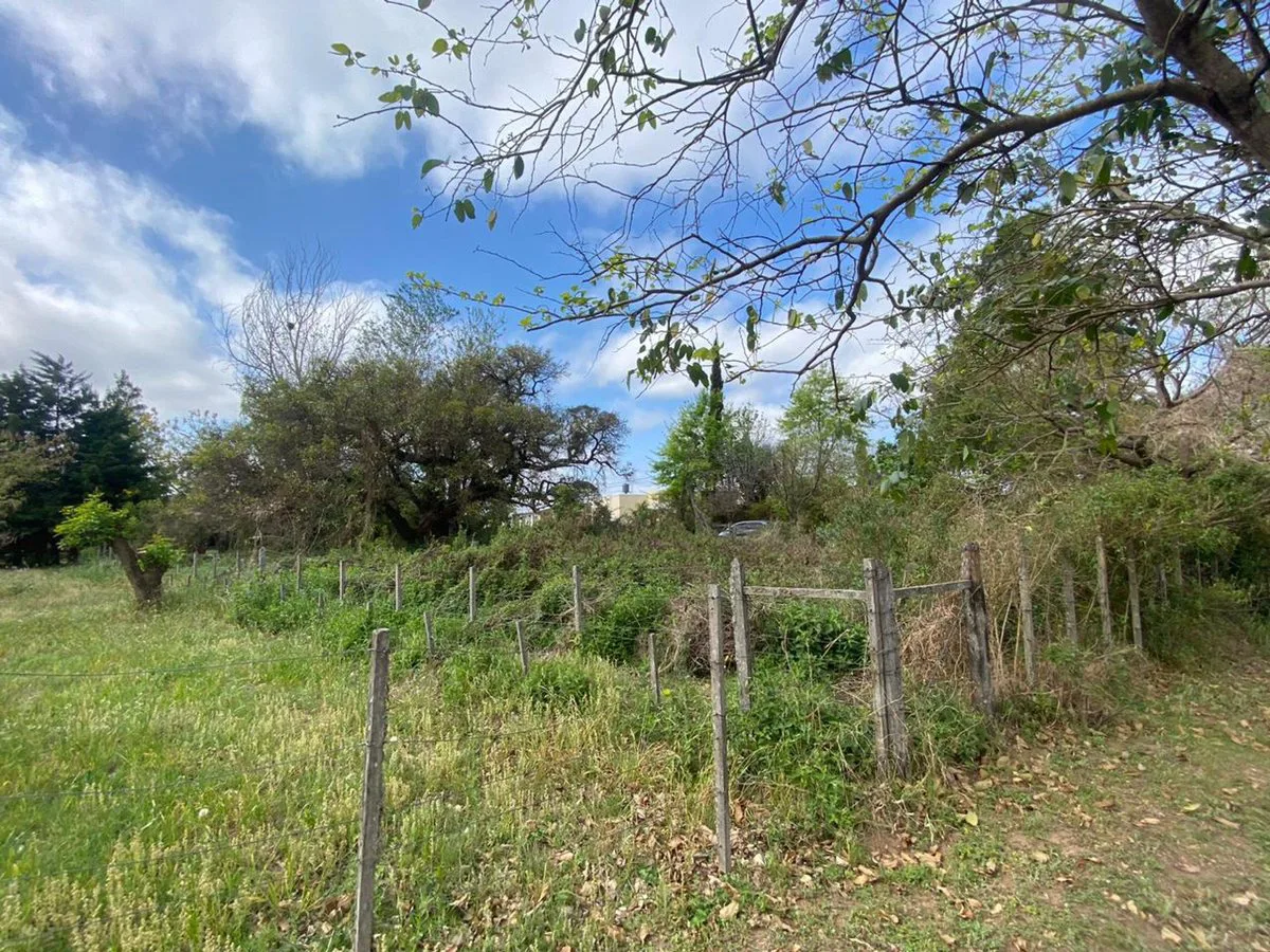 Lote en Santa Rosa de Calchines a 100m del Rio foto 4