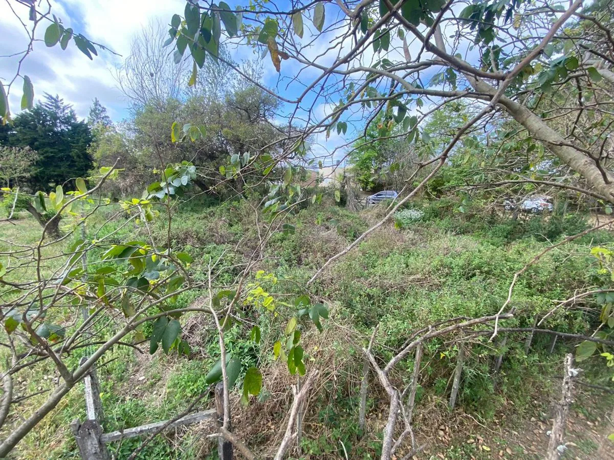 Lote en Santa Rosa de Calchines a 100m del Rio foto 5