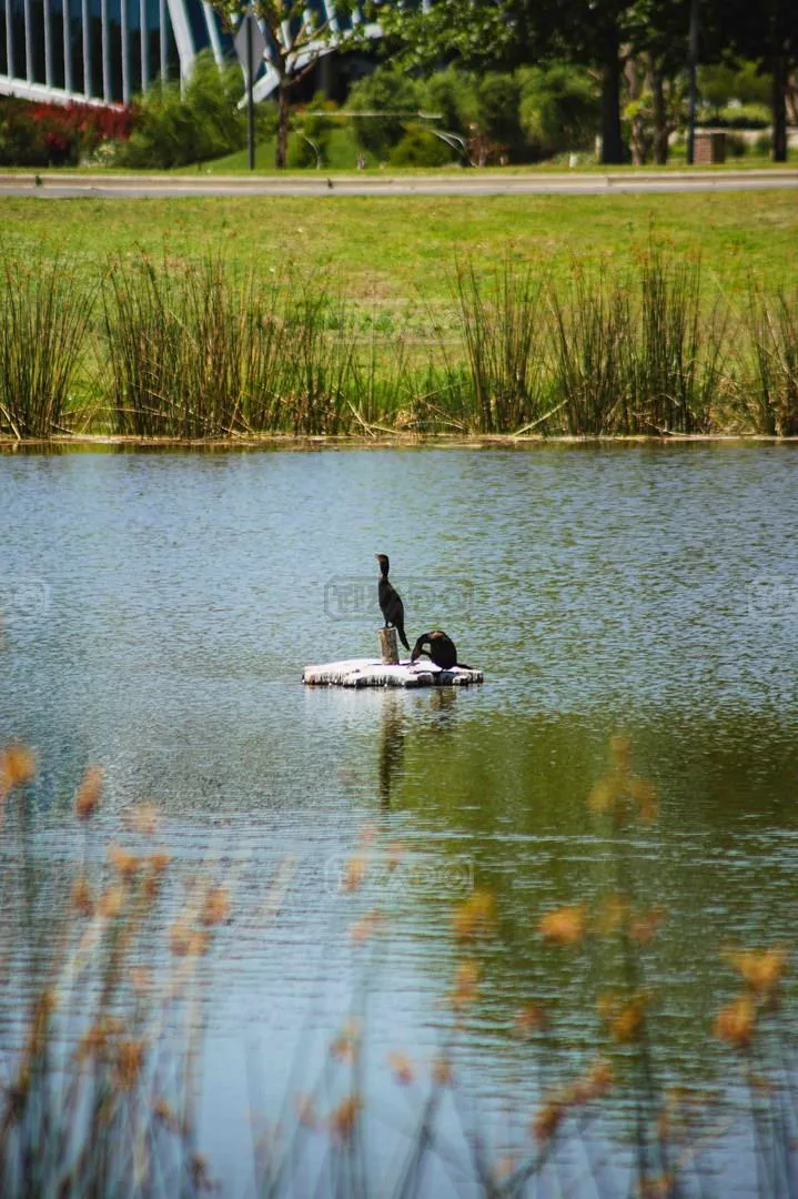 Lote al Lago en CASUARINAS, Nordelta 100 foto 4
