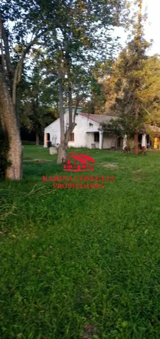 VENTA 4 HECTAREAS IDEAL INVERSORES . PILAR foto 1