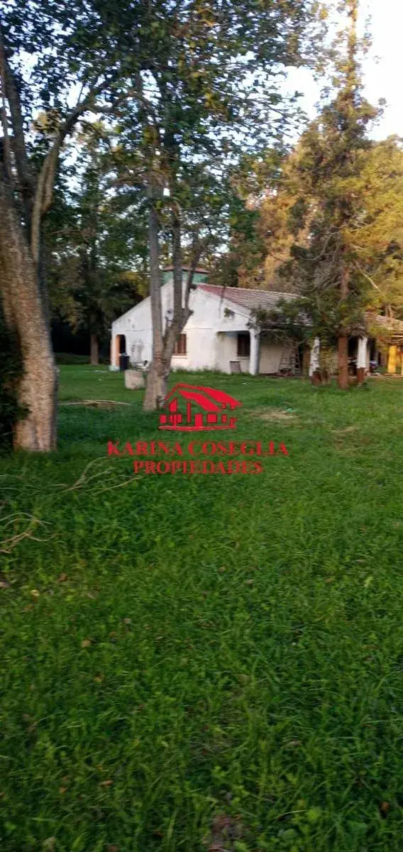 VENTA 4 HECTAREAS IDEAL INVERSORES . PILAR