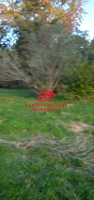 VENTA 4 HECTAREAS IDEAL INVERSORES . PILAR foto 2