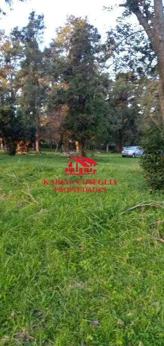 VENTA 4 HECTAREAS IDEAL INVERSORES . PILAR foto 3
