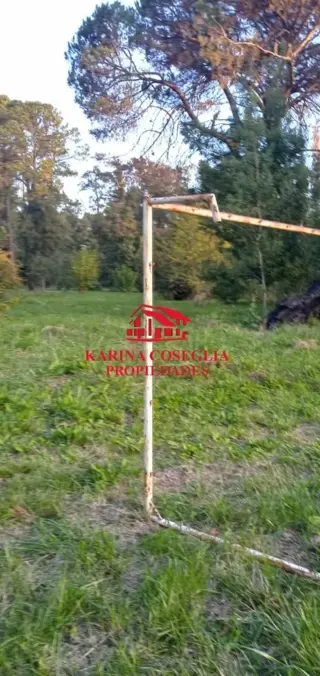 VENTA 4 HECTAREAS IDEAL INVERSORES . PILAR foto 4