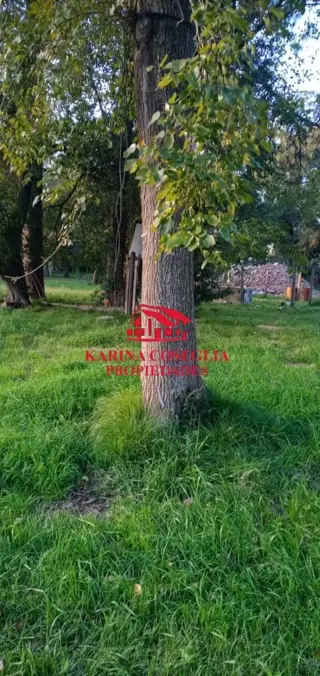 VENTA 4 HECTAREAS IDEAL INVERSORES . PILAR foto 5