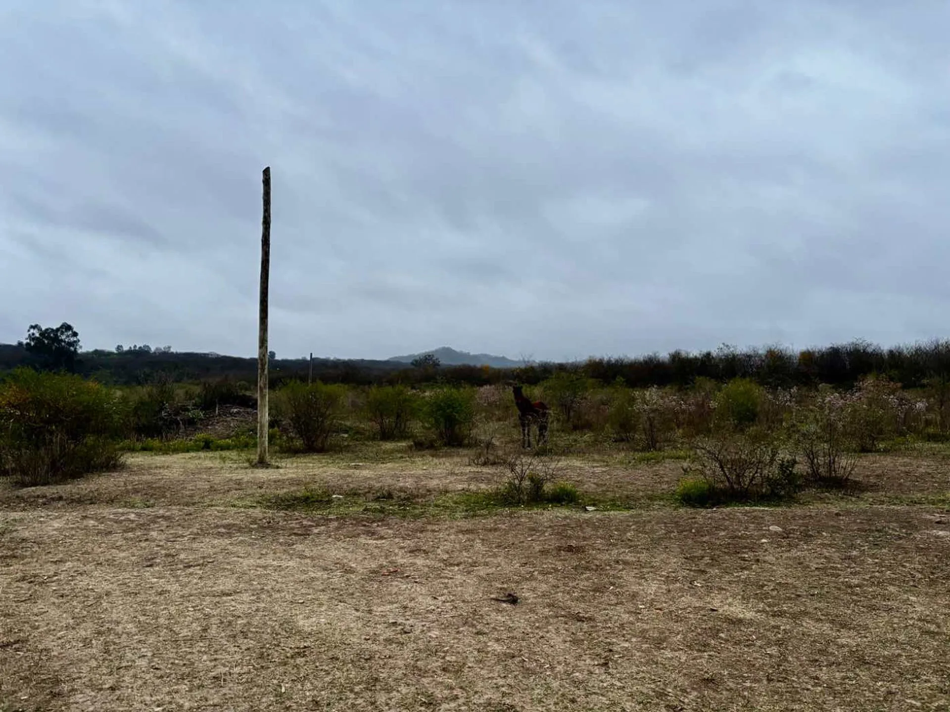 VENTA TERRENO 450 M2 EL CEIBAL EL MANANTIAL foto 3