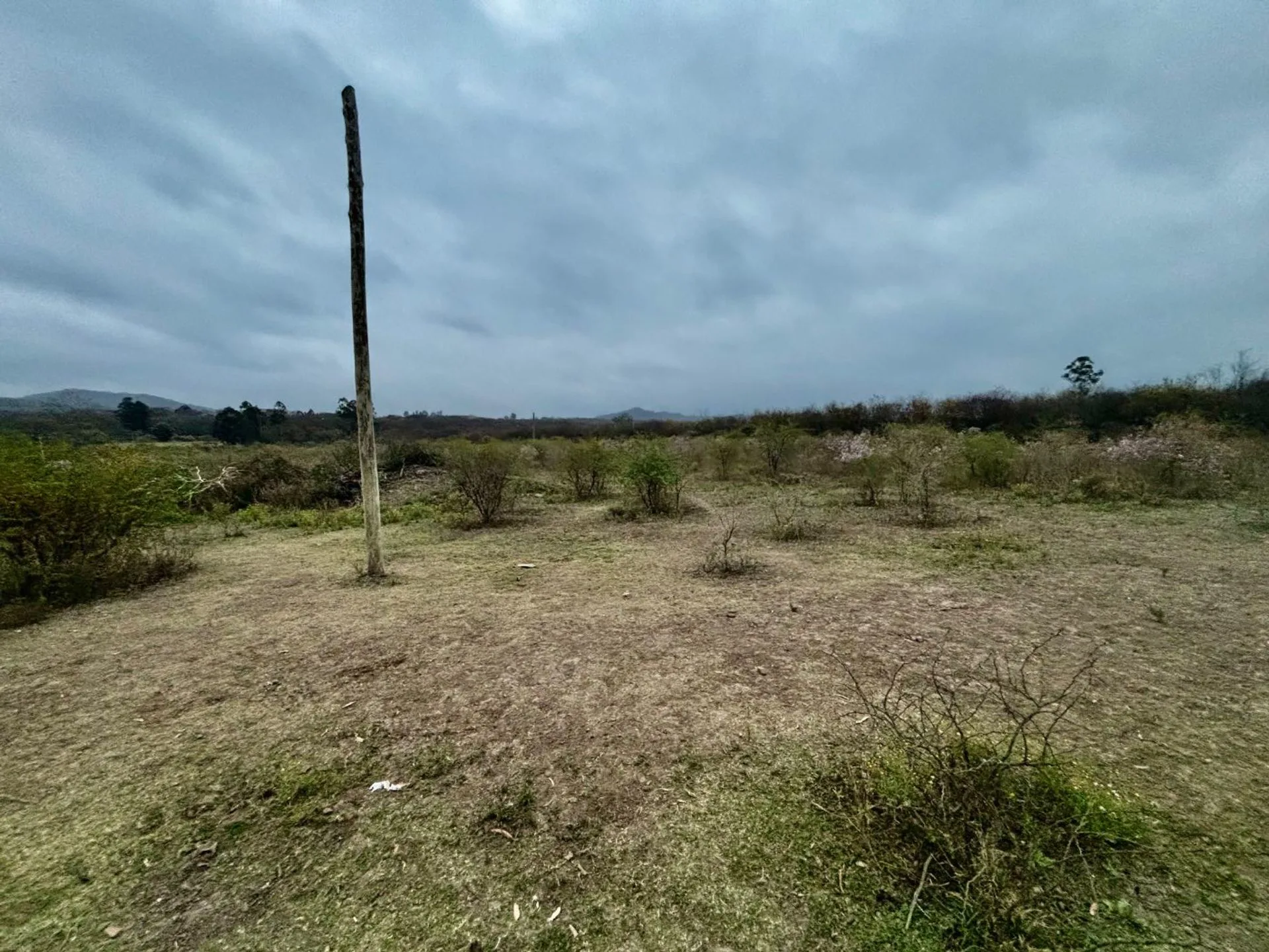 VENTA TERRENO 450 M2 EL CEIBAL EL MANANTIAL foto 4