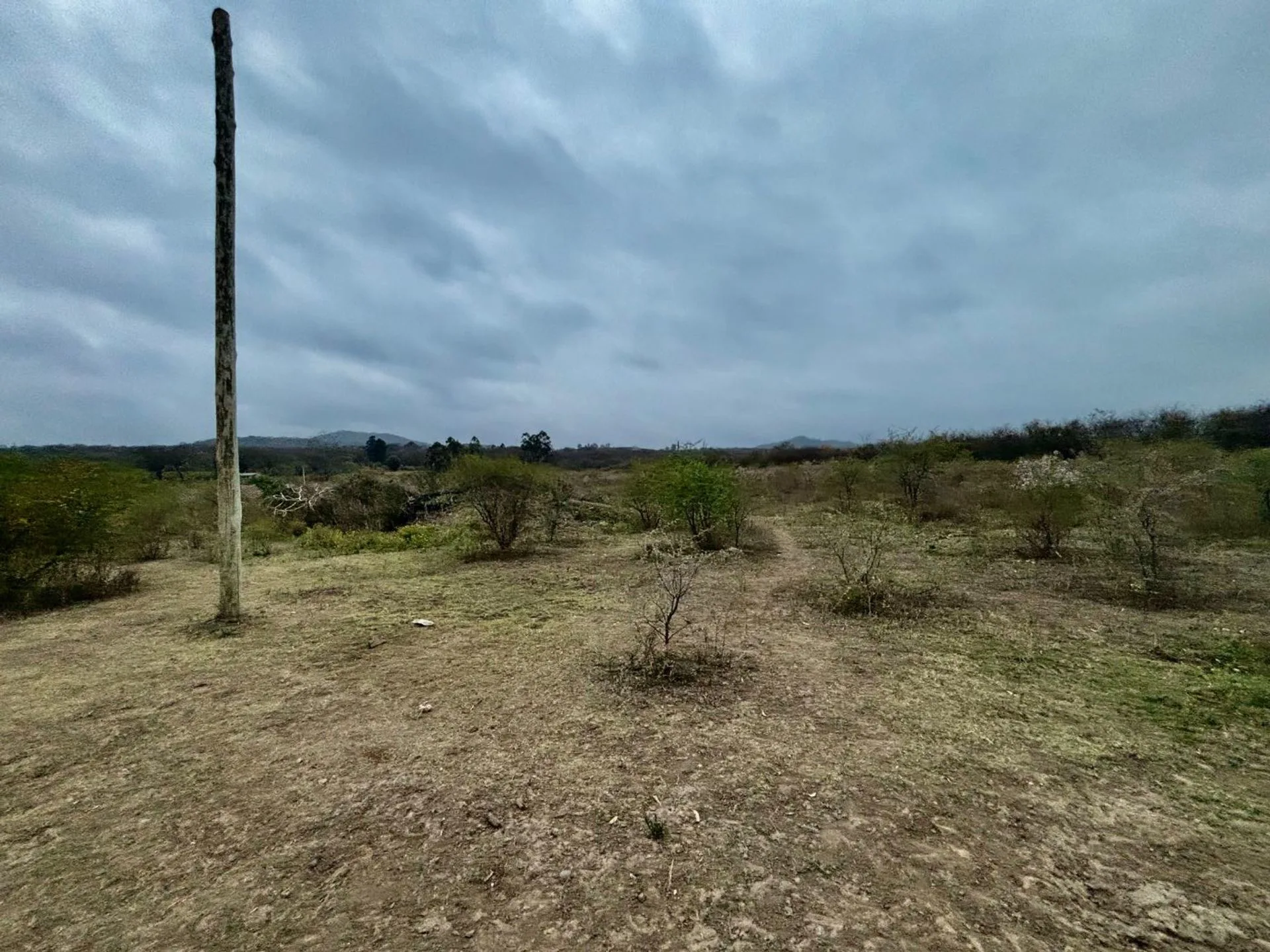 VENTA TERRENO 450 M2 EL CEIBAL EL MANANTIAL foto 5