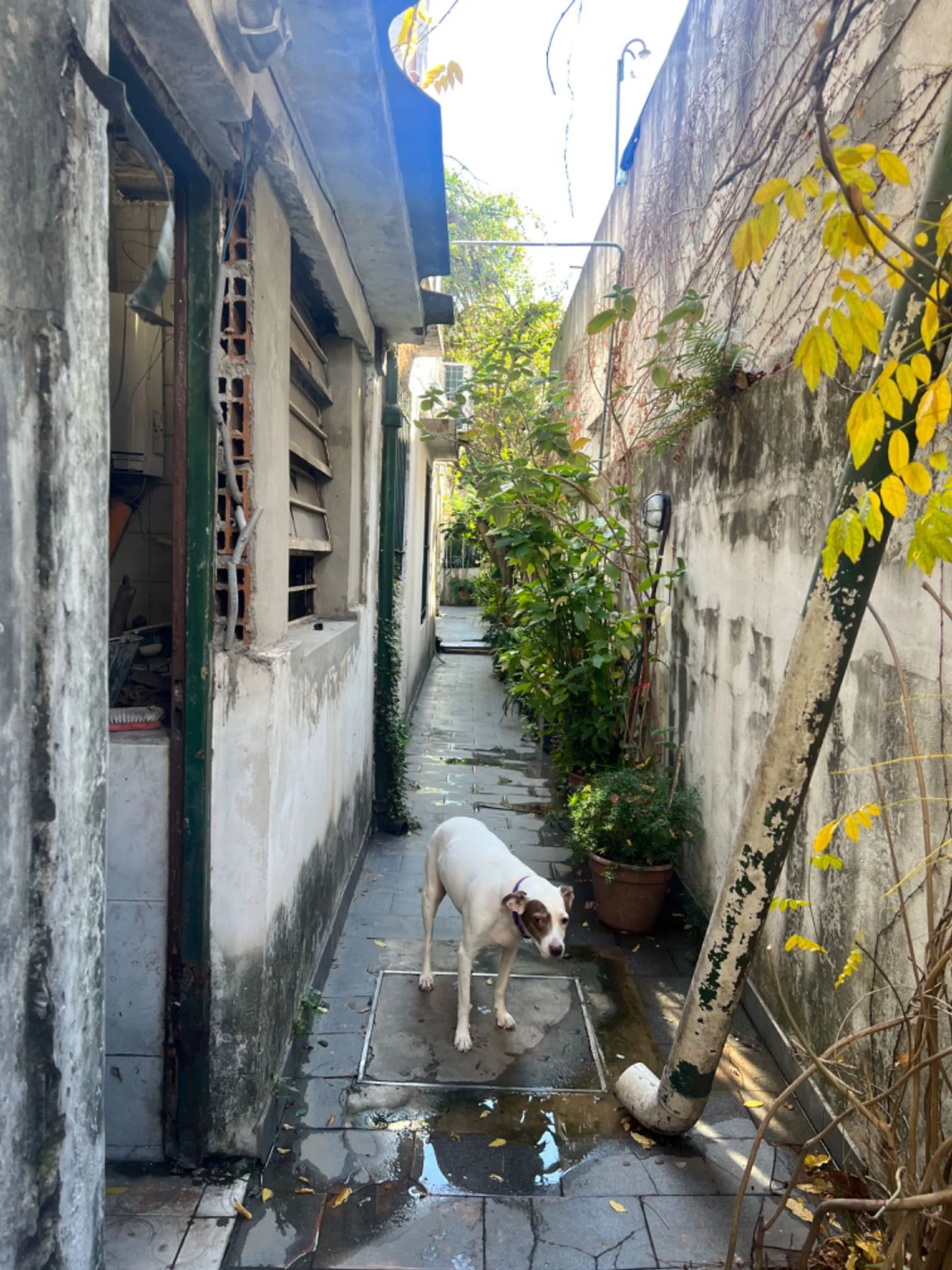 Lote en Venta Villa Crespo foto 4