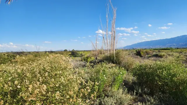 VENTA DE FINCA. 7 HAS. POCITO